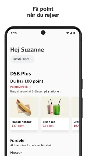 DSB screenshot