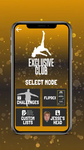 Game of FLIP screenshot