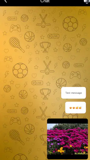 Golden Chat App screenshot