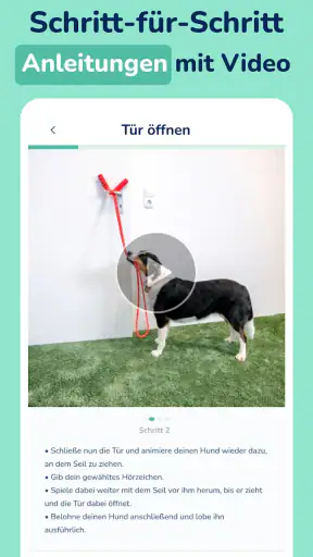 Hundeo: Hundetraining App screenshot