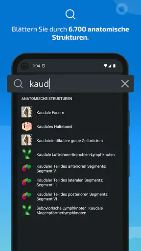 IMAIOS e-Anatomy screenshot