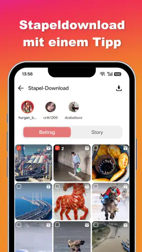 Ins Video- und Foto-Downloader screenshot