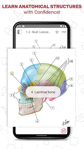 Netter's Anatomy Flash Cards screenshot
