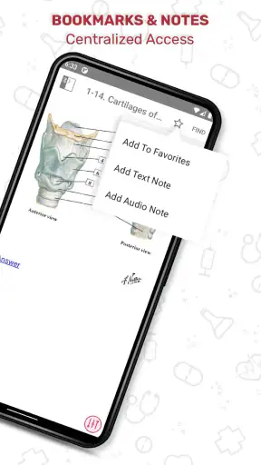 Netter's Anatomy Flash Cards screenshot