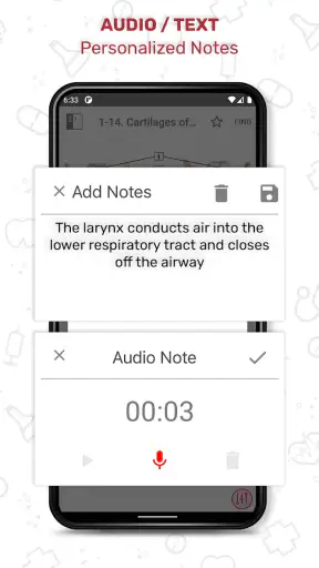 Netter's Anatomy Flash Cards screenshot