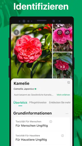 PictureThis:Pflanzen bestimmen screenshot