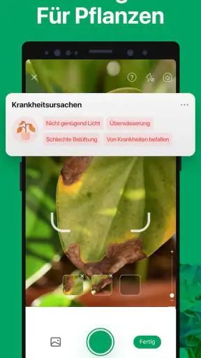 PictureThis:Pflanzen bestimmen screenshot