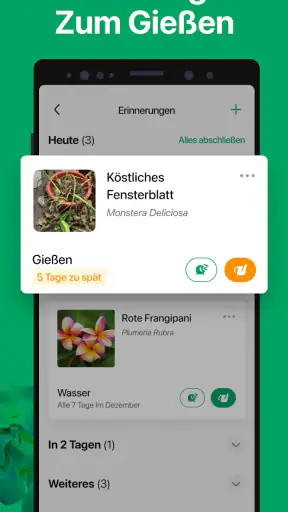 PictureThis:Pflanzen bestimmen screenshot