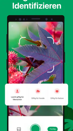 PictureThis:Pflanzen bestimmen screenshot