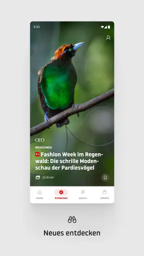 stern online: Nachrichten App screenshot