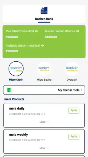 telebirr screenshot