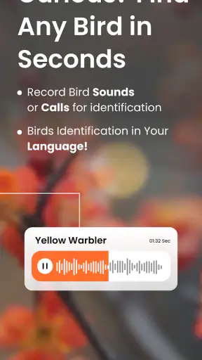 Vögel Bestimmen Vogelstimmen screenshot
