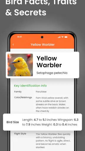 Vögel Bestimmen Vogelstimmen screenshot