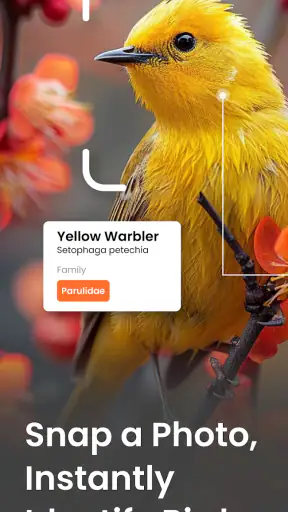 Vögel Bestimmen Vogelstimmen screenshot