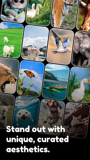 3D&Live Wallpaper-launcher screenshot