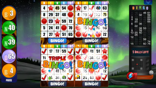 Absolute Bingo screenshot