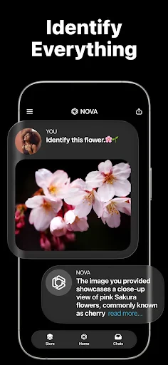 AI Chatbot - Nova screenshot
