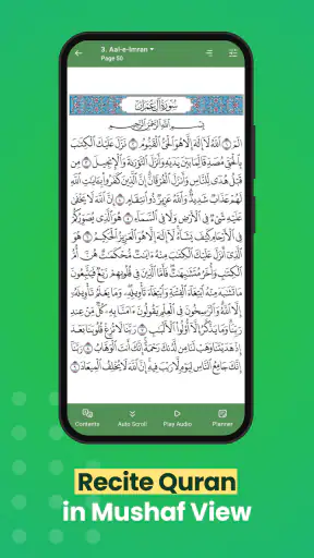 Al Quran (Tafsir & by Word) screenshot