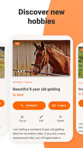 Bazoš screenshot