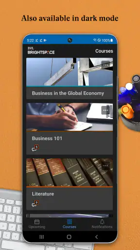 Brightspace Pulse screenshot