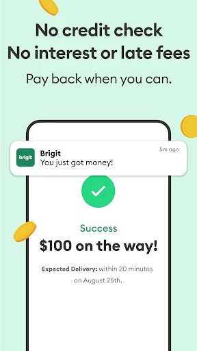 Brigit: Cash Advance & Credit screenshot