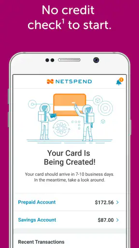 Netspend screenshot