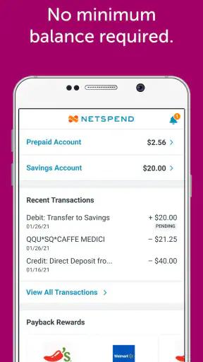 Netspend screenshot