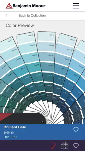 Color Portfolio screenshot