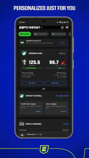 ESPN Fantasy Sports screenshot