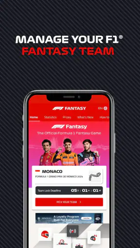Formula 1® screenshot