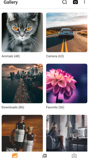 Galleryit - Photo Vault, Album screenshot