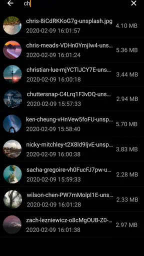 Galleryit - Photo Vault, Album screenshot