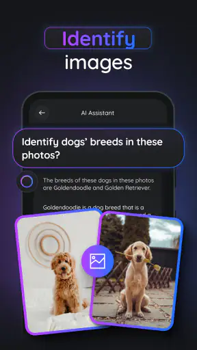 Gemmy AI: Chat & Assistant screenshot