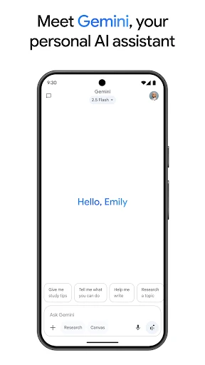 Google Gemini screenshot
