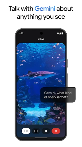 Google Gemini screenshot