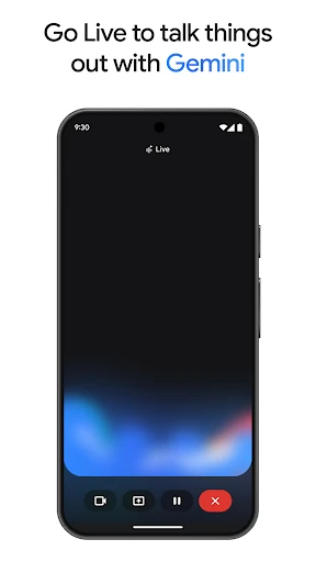 Google Gemini screenshot