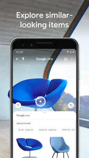 Google Lens screenshot