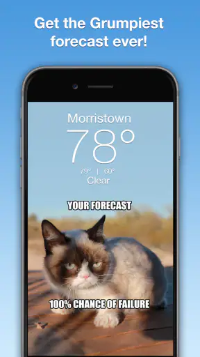 Grumpy Cat Weather screenshot