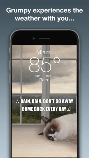 Grumpy Cat Weather screenshot