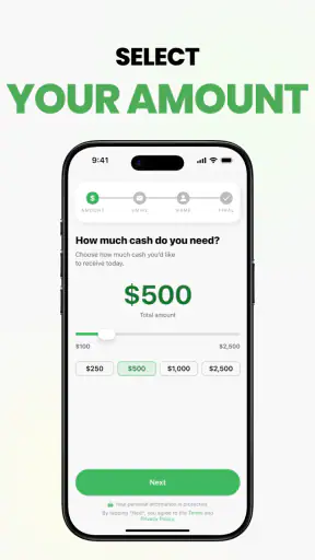 Instant Cash Advance: Loan App screenshot