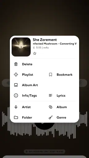 Poweramp Music Player screenshot
