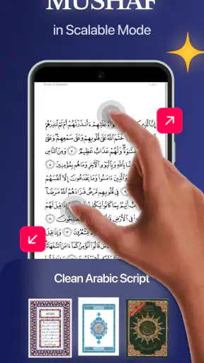 Quran Pro: Read the Holy Quran screenshot