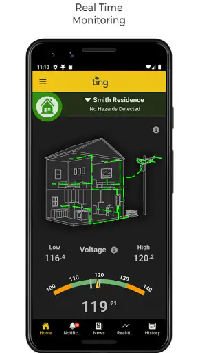 Ting screenshot