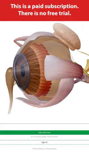 Visible Body Suite screenshot