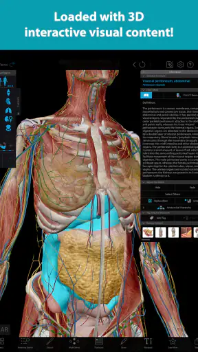 Visible Body Suite screenshot
