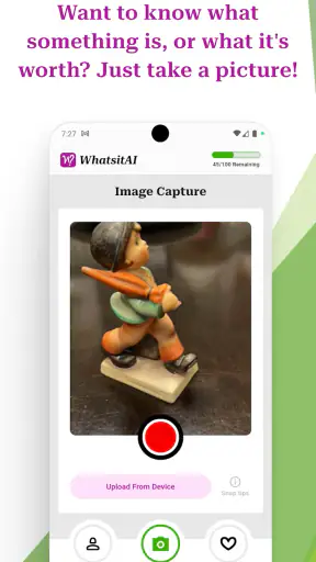 WhatsitAI: ID & Value Anything screenshot