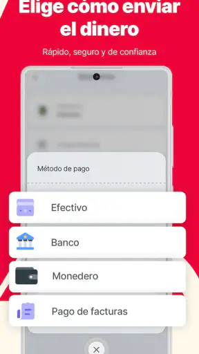 ACE Money Transfer screenshot