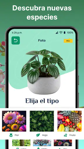 AI Reconocer Plantas Español screenshot