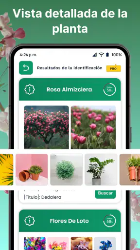 AI Reconocer Plantas Español screenshot