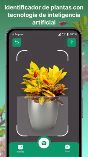 AI Reconocer Plantas Español screenshot